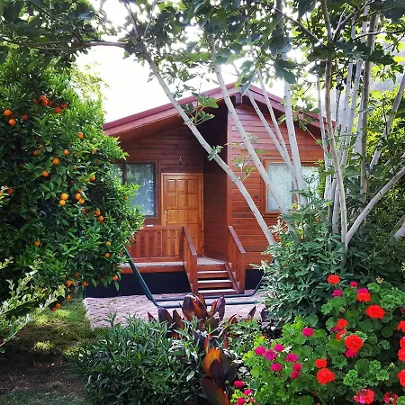 Asya Bungalow Cirali